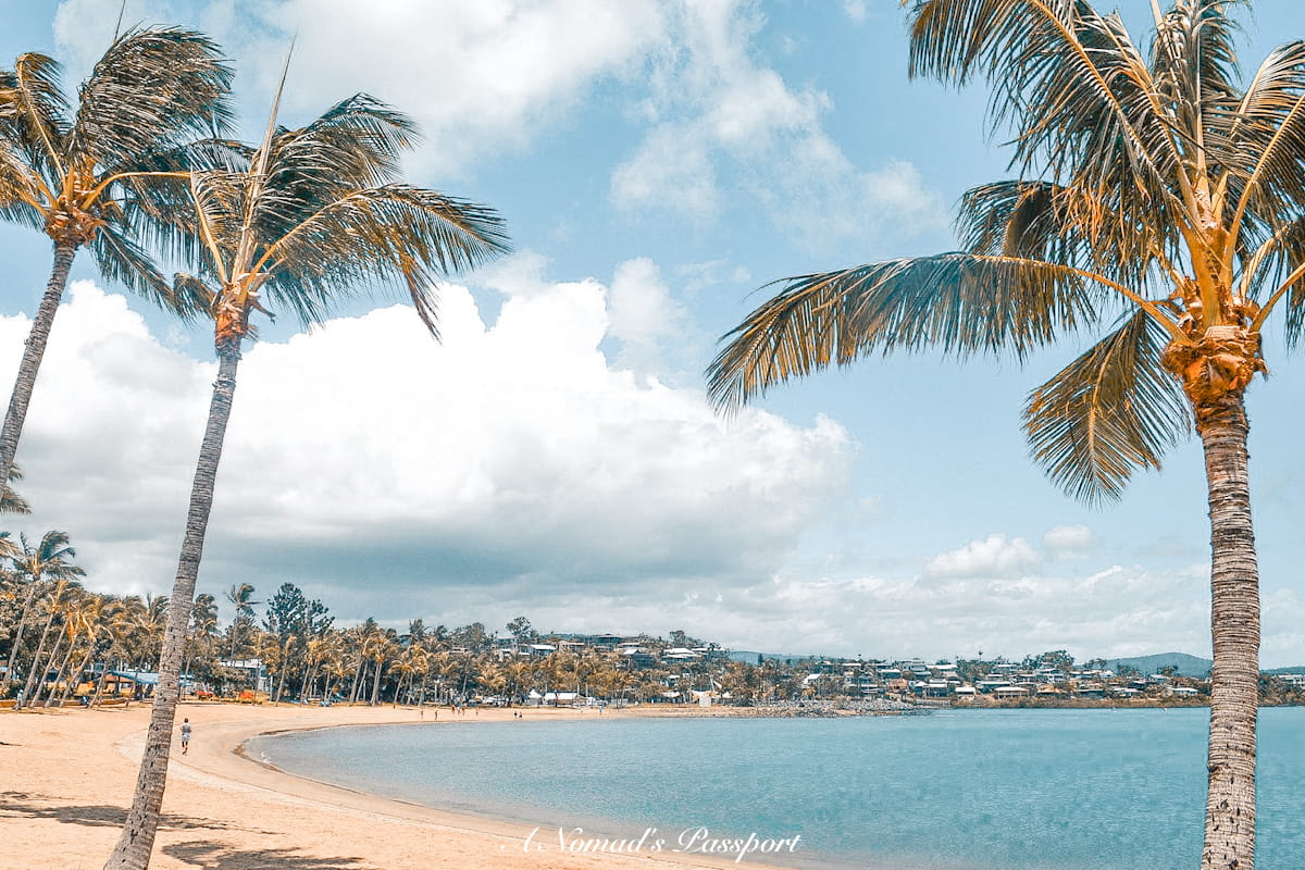beach with palm which is a hidden gem in Australia