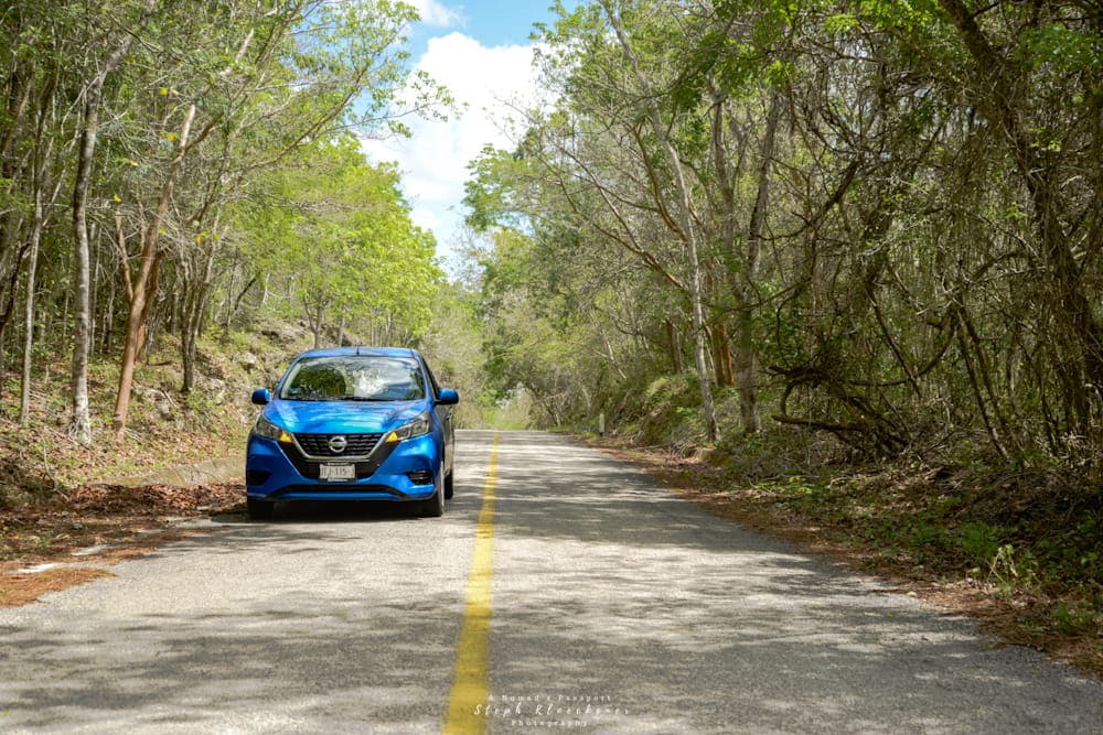 the road to the Calakmul ruins