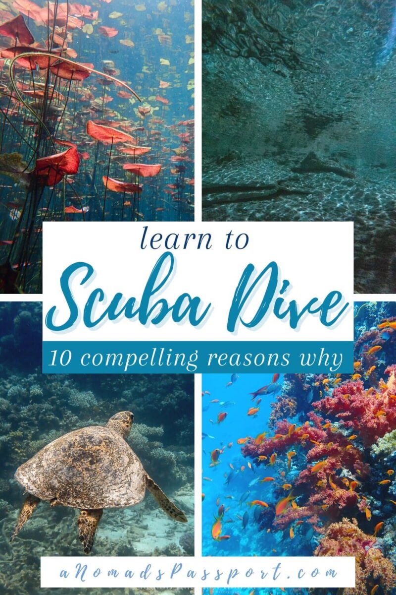 why you should learn to scuba dive