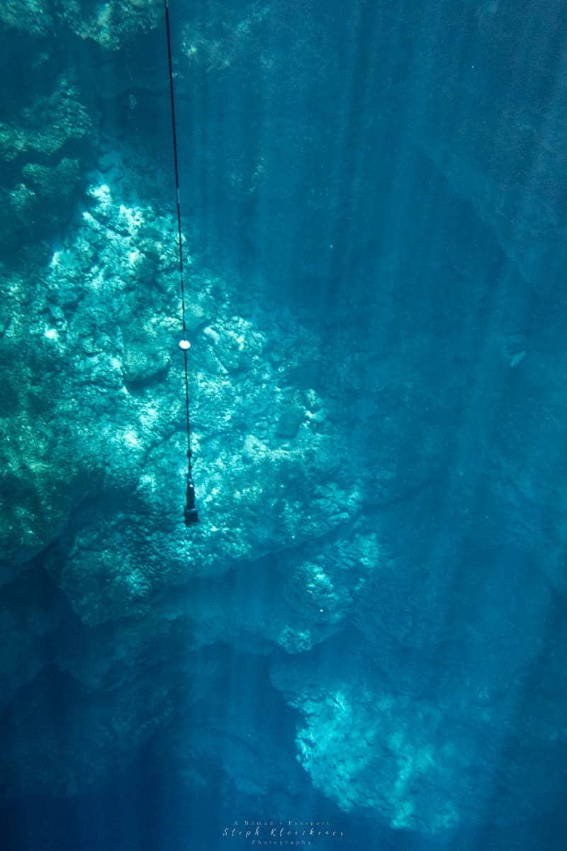 learning to dive reasons