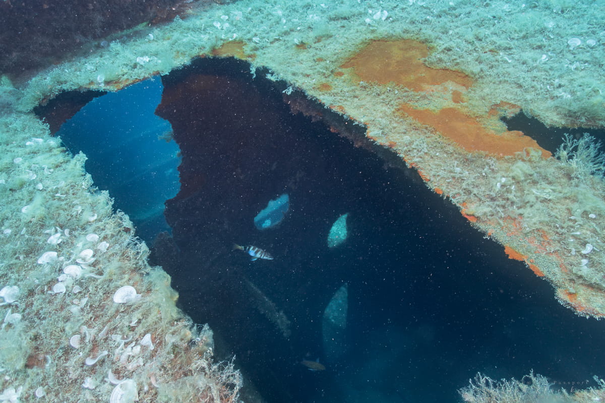 Um El Faroud Dive Malta