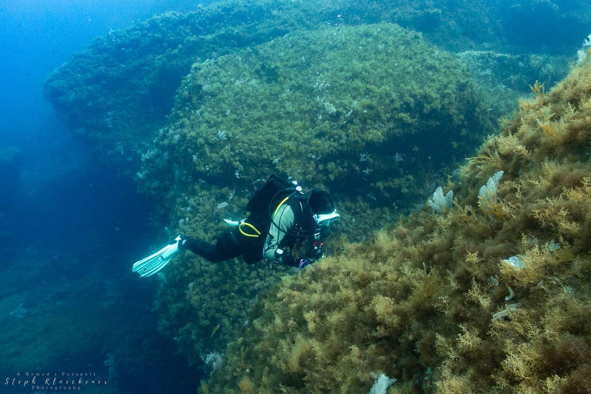 Azure Reef Dive Gozo