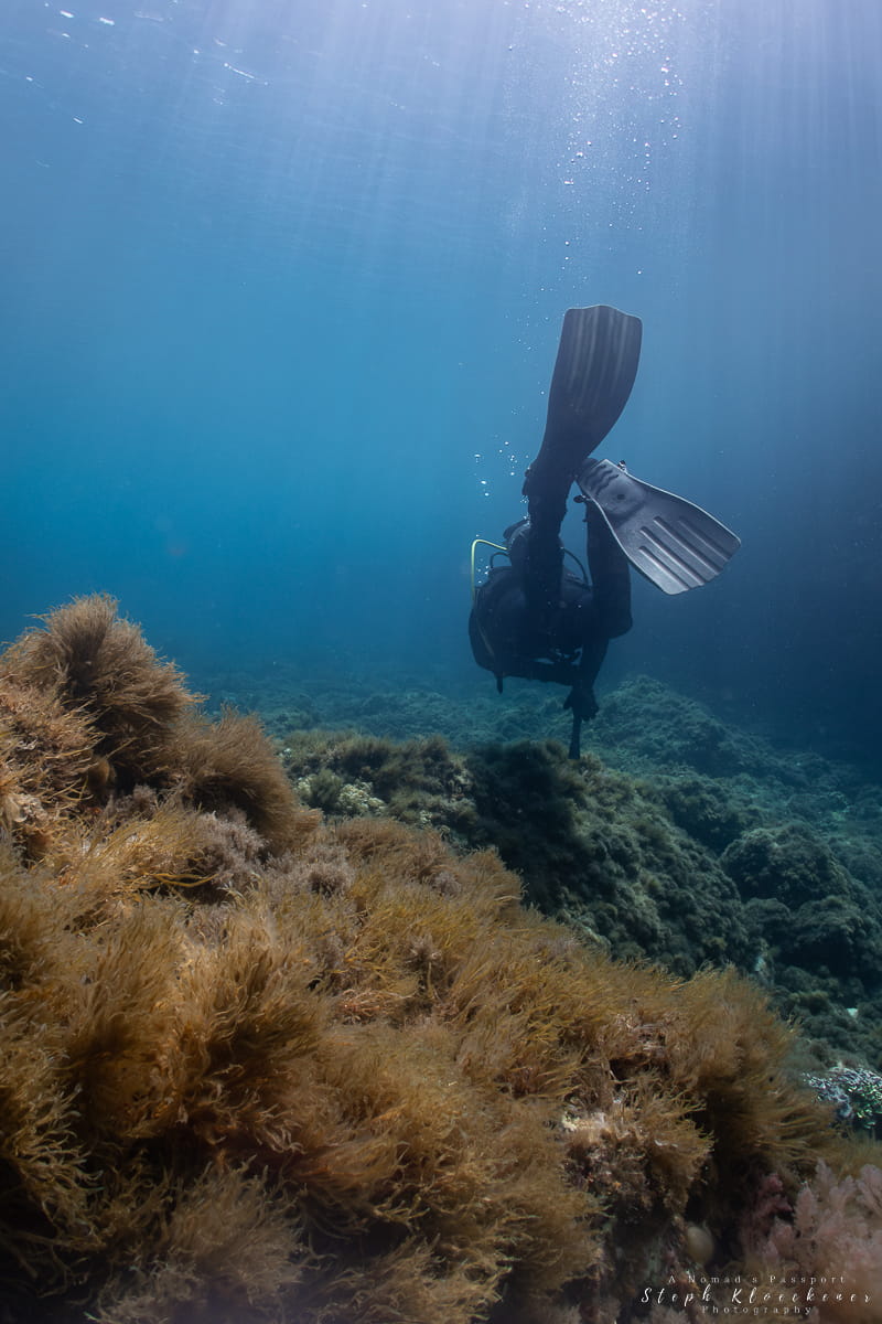 Diving to Cathedral Cave Gozo