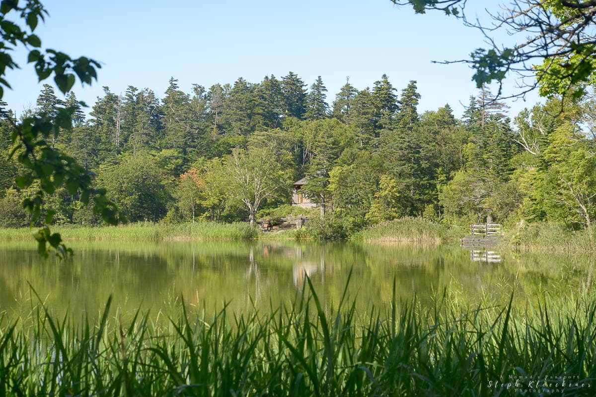 Himenuma Pond Trail Rishiri
