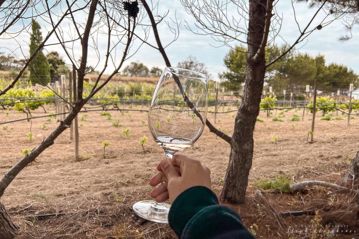 Tal Massar Winery Gozo