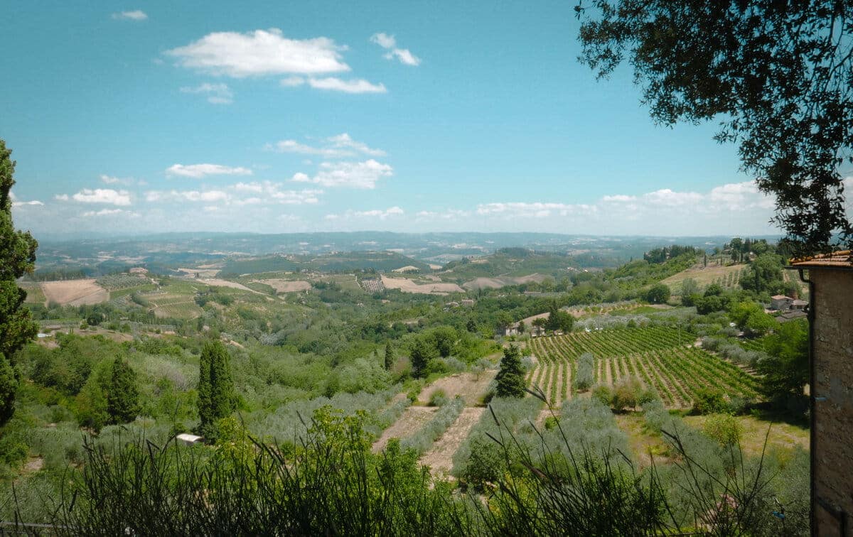 Wine tasting Tuscany Italy