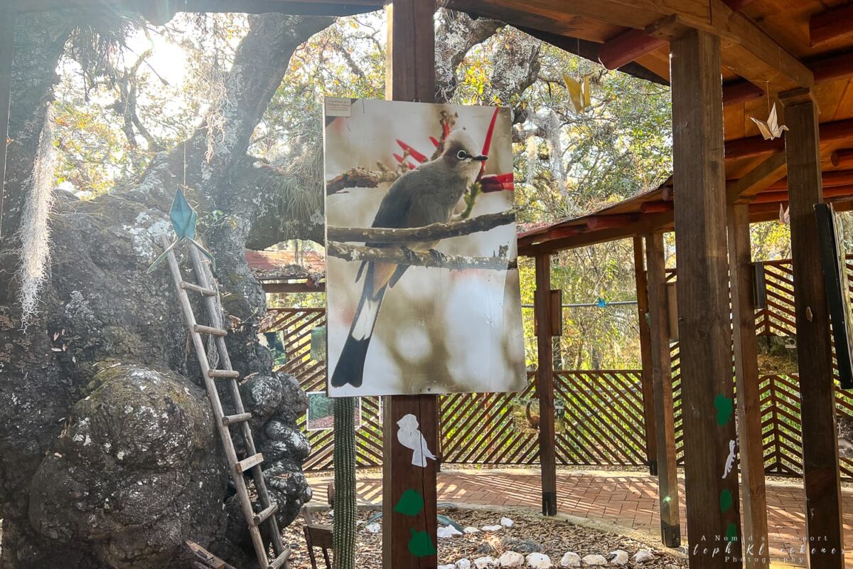 Capulalpam Ecotourism Exhibition