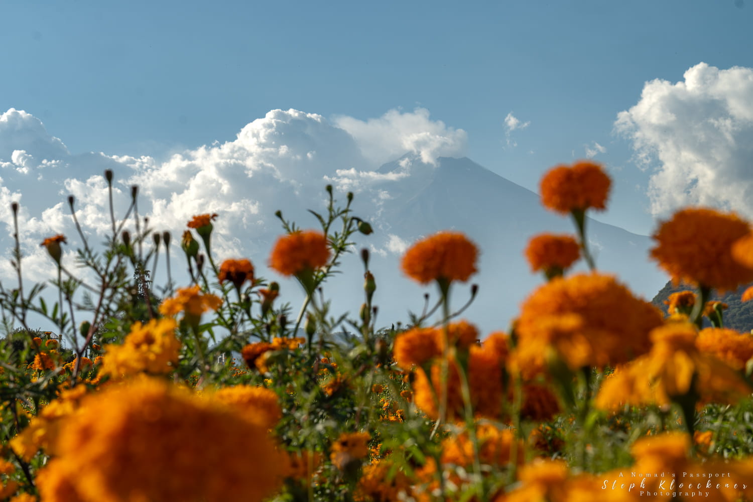 Puebla Road Trip